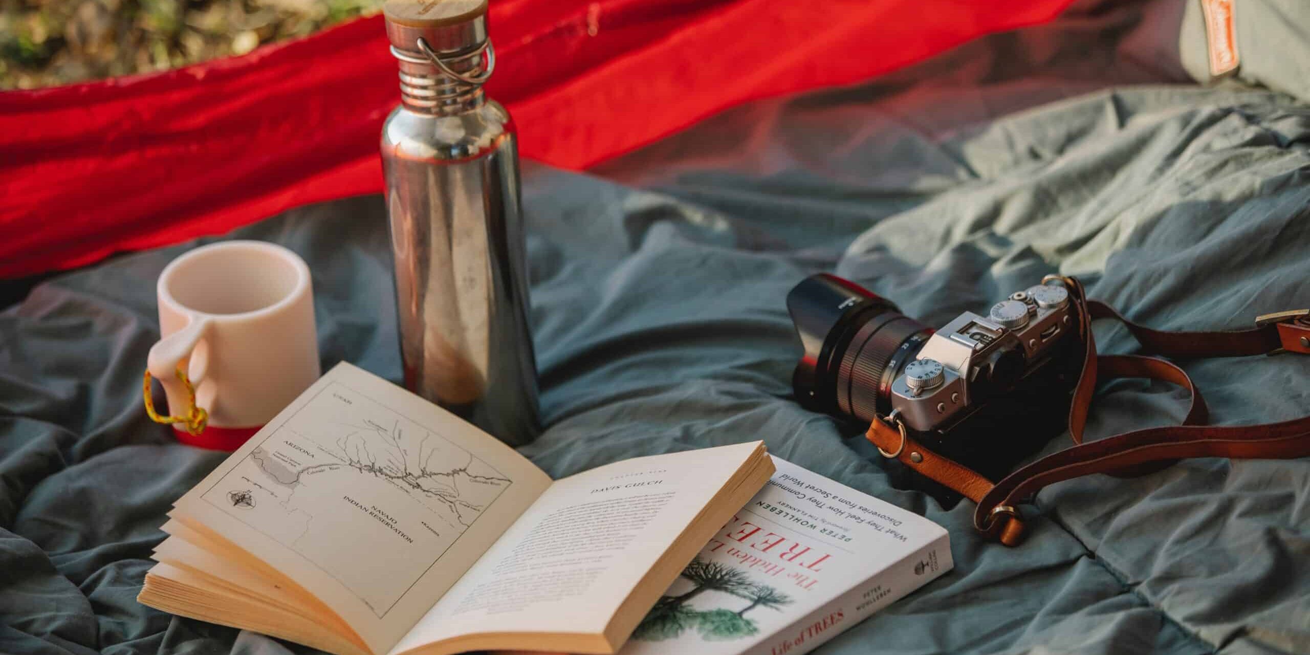 pexels-uriel-mont-6271651