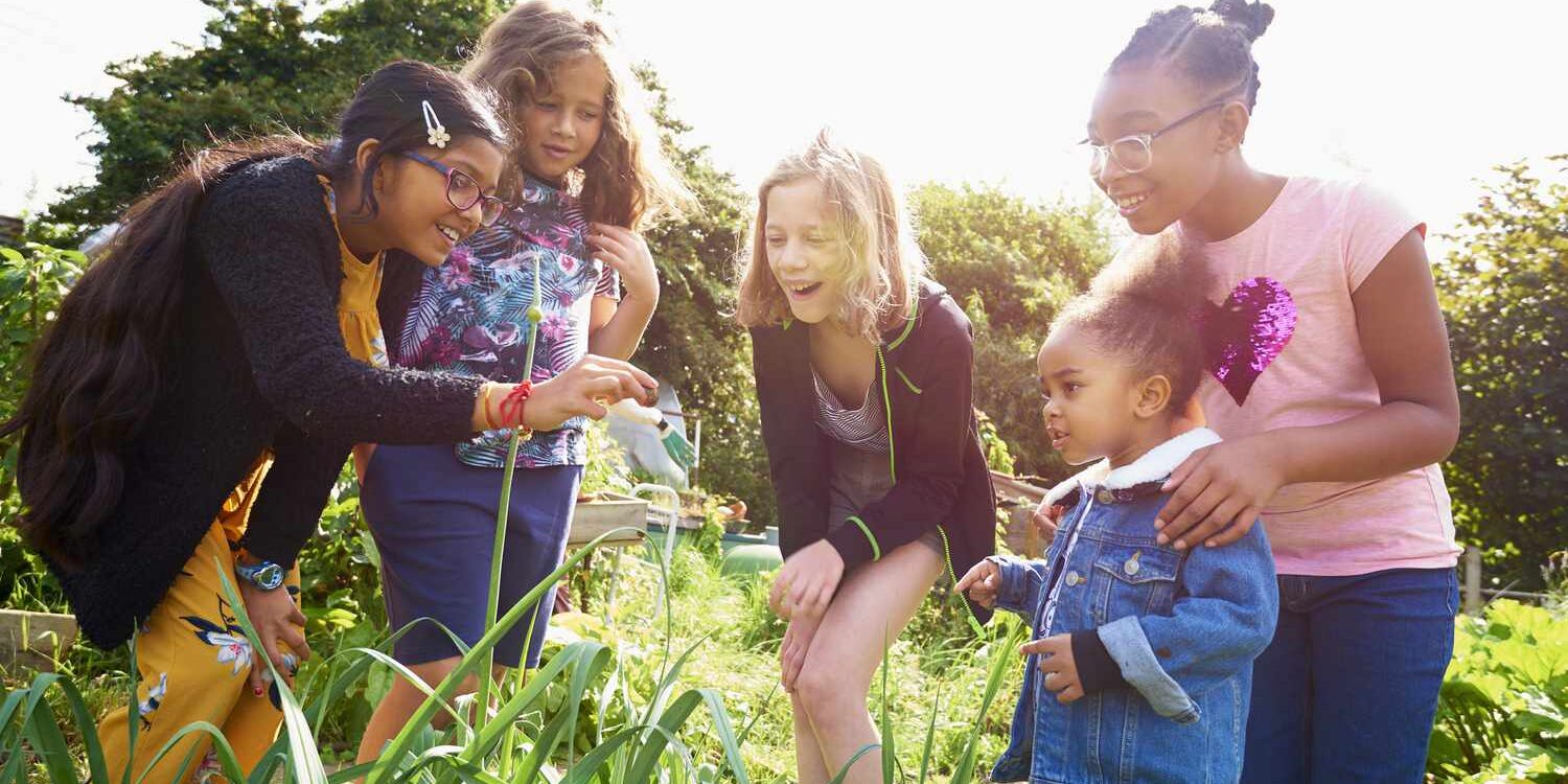 Homeschool socialization kids socialization