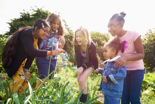 Homeschool socialization kids socialization