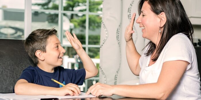 Homeschooling tips for success homeschooled student