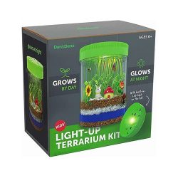 Light-Up Terrarium Kit for Kids - STEM Activities Science Kits - Gifts for Kids - Educational Kids Christmas Toys for Boys & Girls