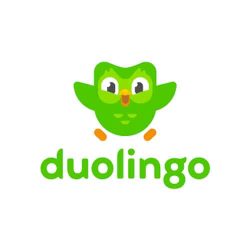 duolingo subscription novel education